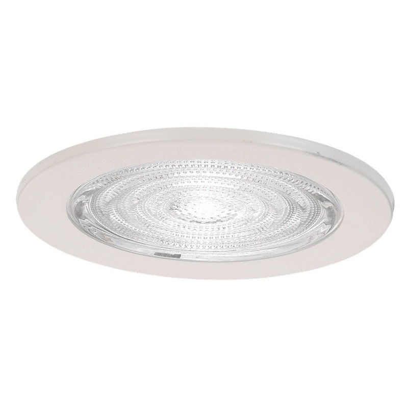 4" Fresnal Glass Shower Trim